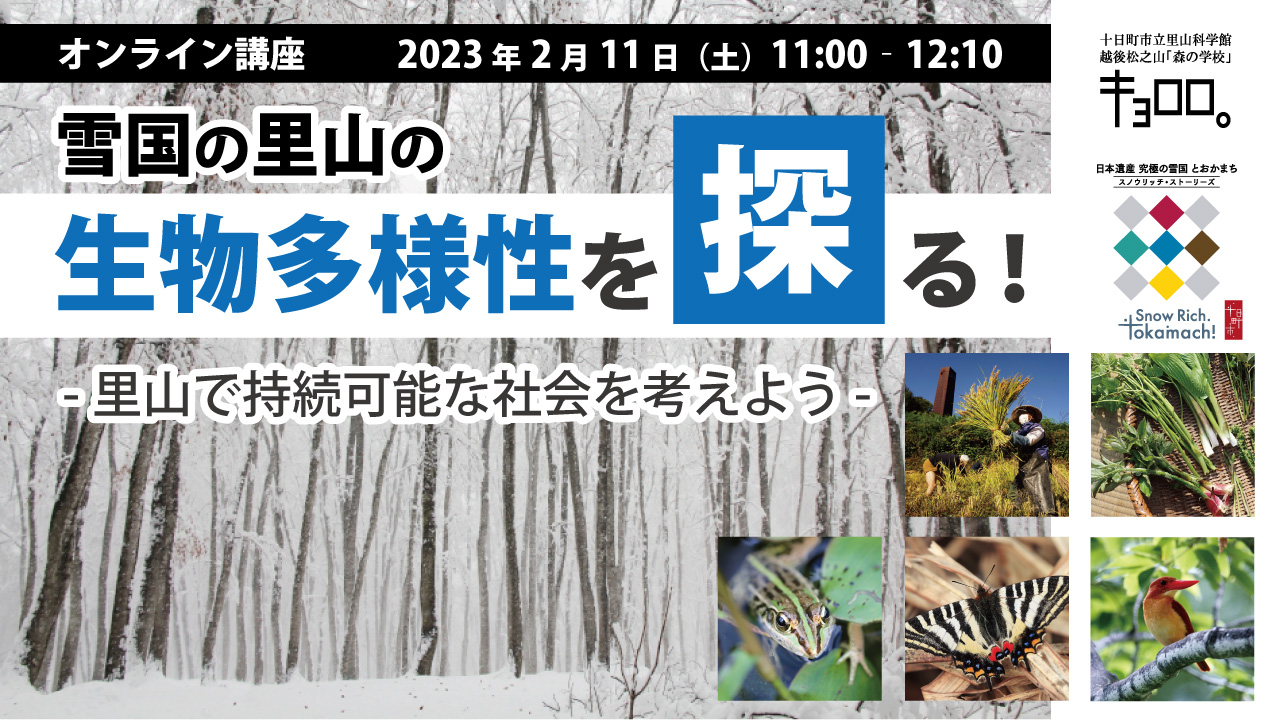 雪国の里山の生物多様性を探る！ -里山で持続可能な社会を考えよう-オンライン講座(アーカイブ配信あり) thumbnail