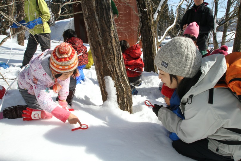サムネイル 3: 「捕獲せよ！豪雪の上を歩く謎のムシ「雪虫」」 -里山の自然科学館で生物多様性を調べる探求学習の旅-リアルイベント