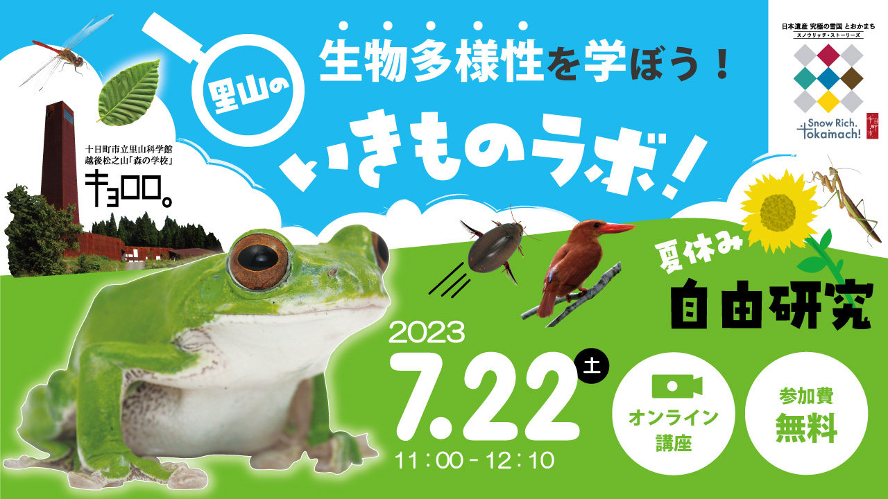 【オンライン講座】夏の里山いきものラボ！ -夏休みの自由研究に！雪国の里山の生物多様性を学ぼう- （アーカイブ配信あり）　主催 新潟県十日町市 thumbnail