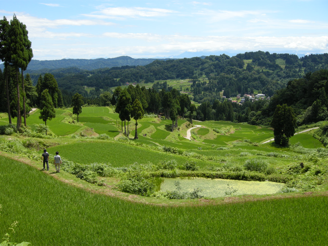 サムネイル 3: 【オンライン講座】夏の里山いきものラボ！ -夏休みの自由研究に！雪国の里山の生物多様性を学ぼう- （アーカイブ配信あり）　主催 新潟県十日町市