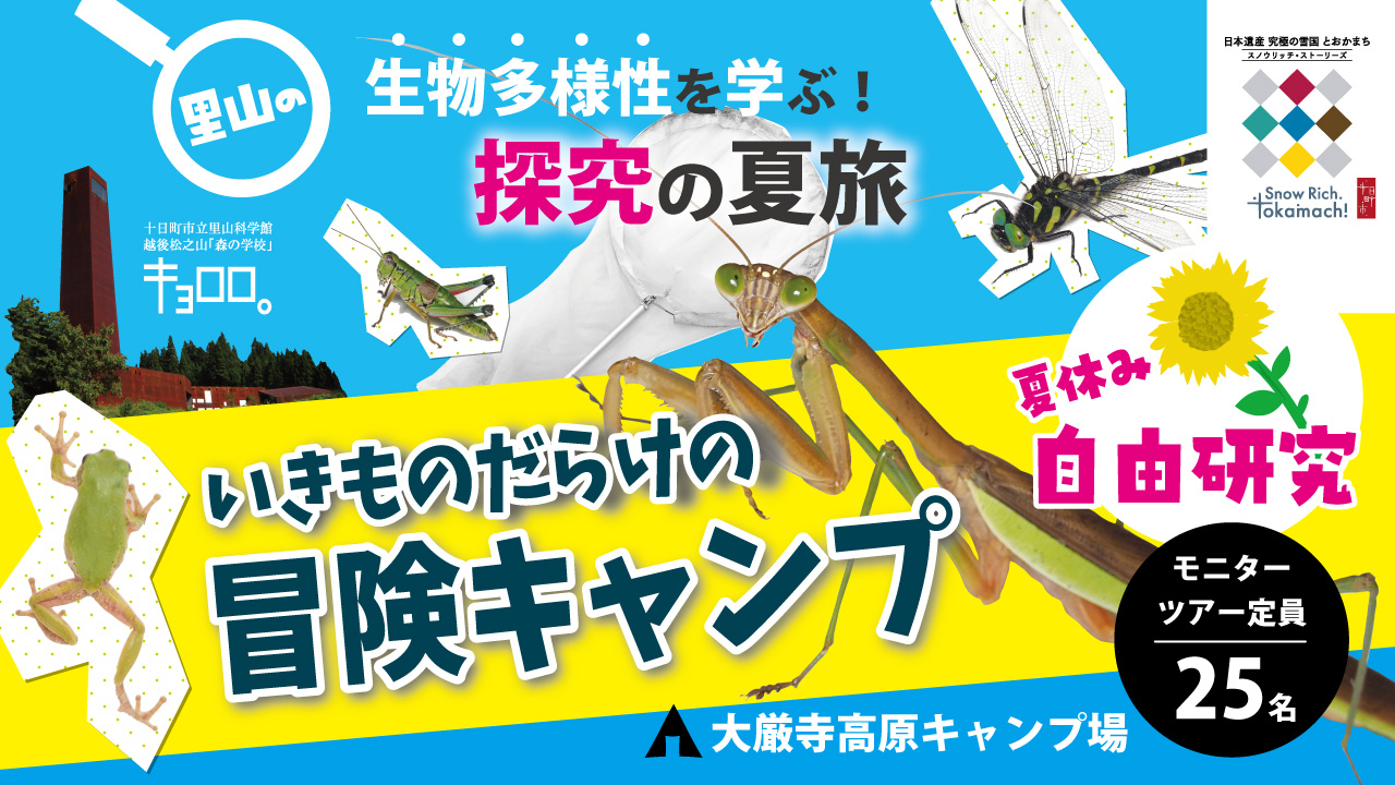 【1泊2日モニタツアー】「いきものだらけの冒険キャンプ！雪国の生物多様性を探究する夏旅」主催 新潟県十日町市 thumbnail